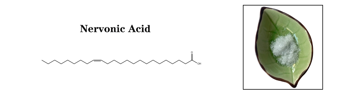 Nervonic Acid Sale.jpg